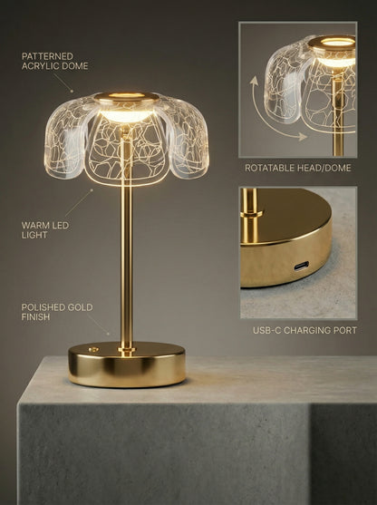 Gold Bubo Lamp features: patterned acrylic dome, rotatable head, polished gold finish, USB-C charging